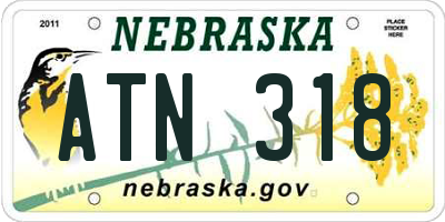 NE license plate ATN318