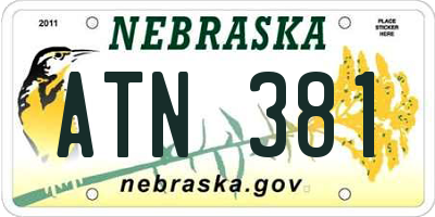 NE license plate ATN381