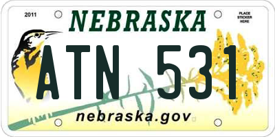 NE license plate ATN531