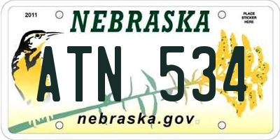 NE license plate ATN534