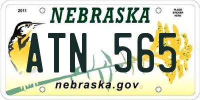 NE license plate ATN565