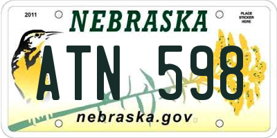 NE license plate ATN598