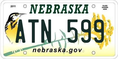 NE license plate ATN599