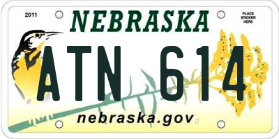 NE license plate ATN614