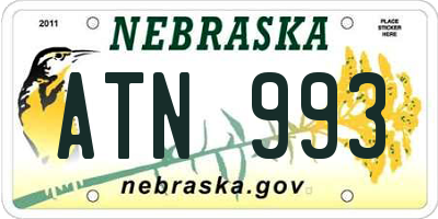 NE license plate ATN993