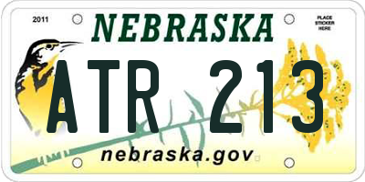 NE license plate ATR213