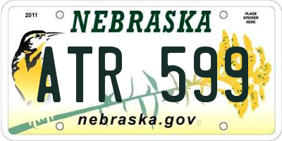 NE license plate ATR599