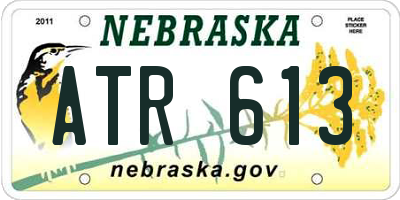 NE license plate ATR613