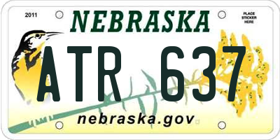 NE license plate ATR637
