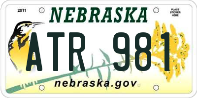 NE license plate ATR981