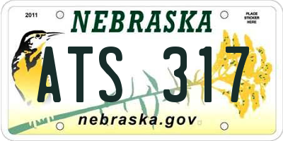 NE license plate ATS317