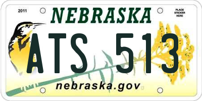 NE license plate ATS513