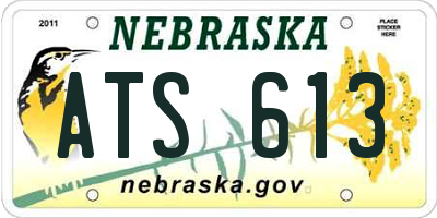 NE license plate ATS613