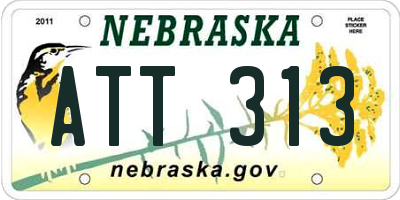 NE license plate ATT313