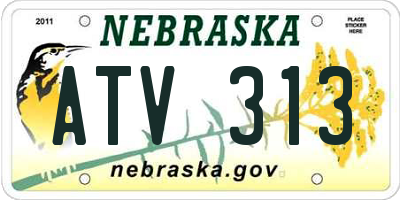 NE license plate ATV313