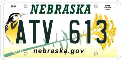 NE license plate ATV613
