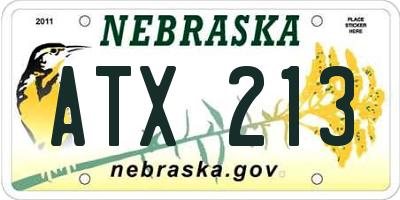 NE license plate ATX213