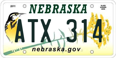 NE license plate ATX314