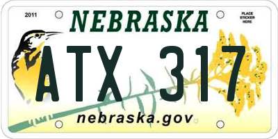 NE license plate ATX317