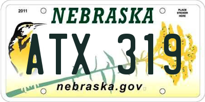 NE license plate ATX319