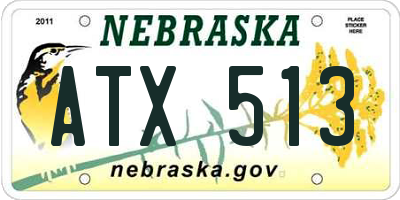 NE license plate ATX513