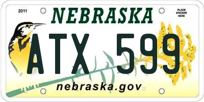 NE license plate ATX599