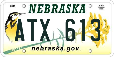 NE license plate ATX613