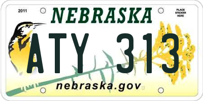 NE license plate ATY313