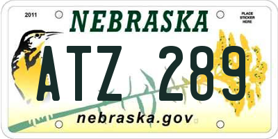 NE license plate ATZ289