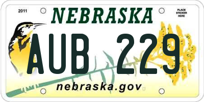 NE license plate AUB229