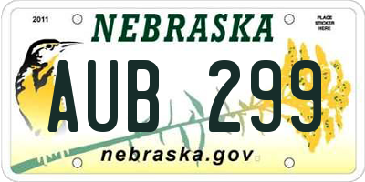 NE license plate AUB299