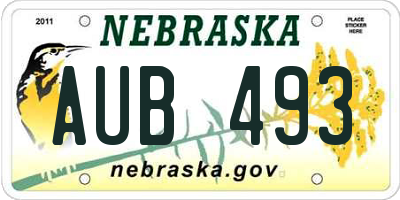 NE license plate AUB493