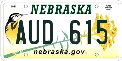 NE license plate AUD615