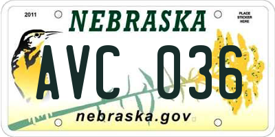NE license plate AVC036