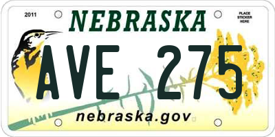 NE license plate AVE275
