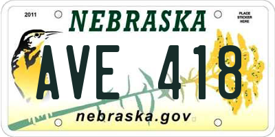 NE license plate AVE418