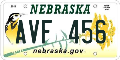 NE license plate AVF456