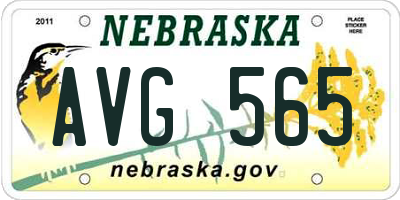 NE license plate AVG565
