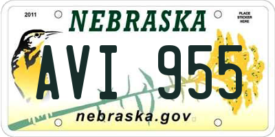 NE license plate AVI955