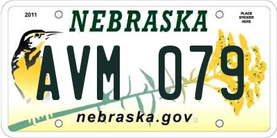 NE license plate AVM079