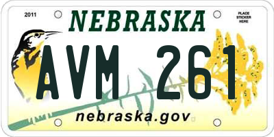 NE license plate AVM261