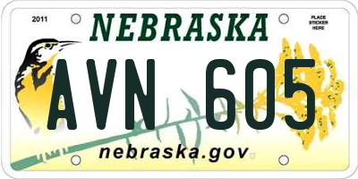 NE license plate AVN605