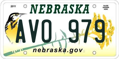 NE license plate AVO979