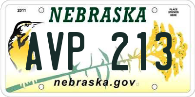 NE license plate AVP213