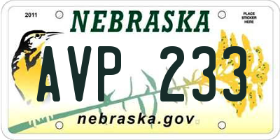 NE license plate AVP233