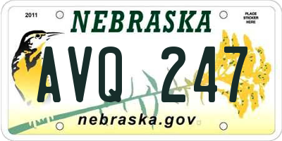 NE license plate AVQ247