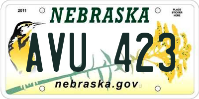 NE license plate AVU423