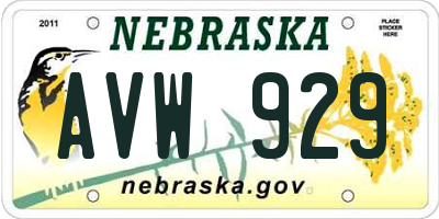 NE license plate AVW929