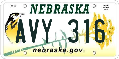 NE license plate AVY316
