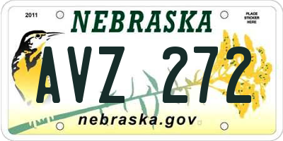 NE license plate AVZ272